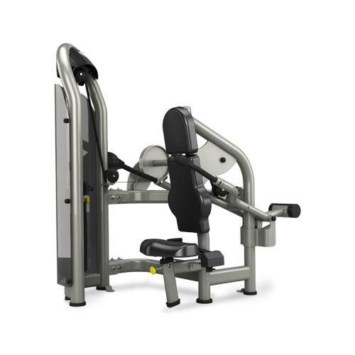 Seated Dip Tricep Press